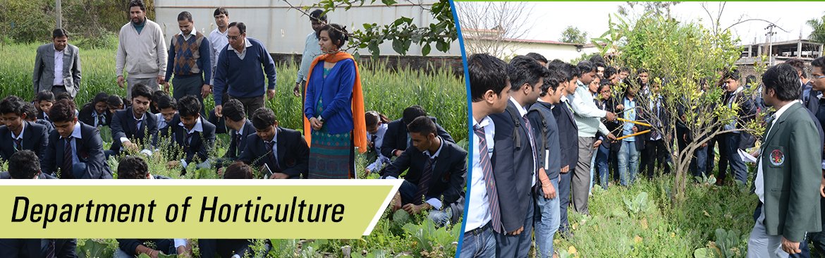 Horticulture